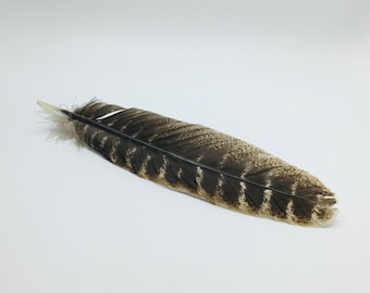 Smudge Feather, 12 Inch Turkey Feather