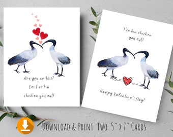 Tarjeta de San Valentín con un pollo divertido: Aniversario del ibis australiano (descarga digital)