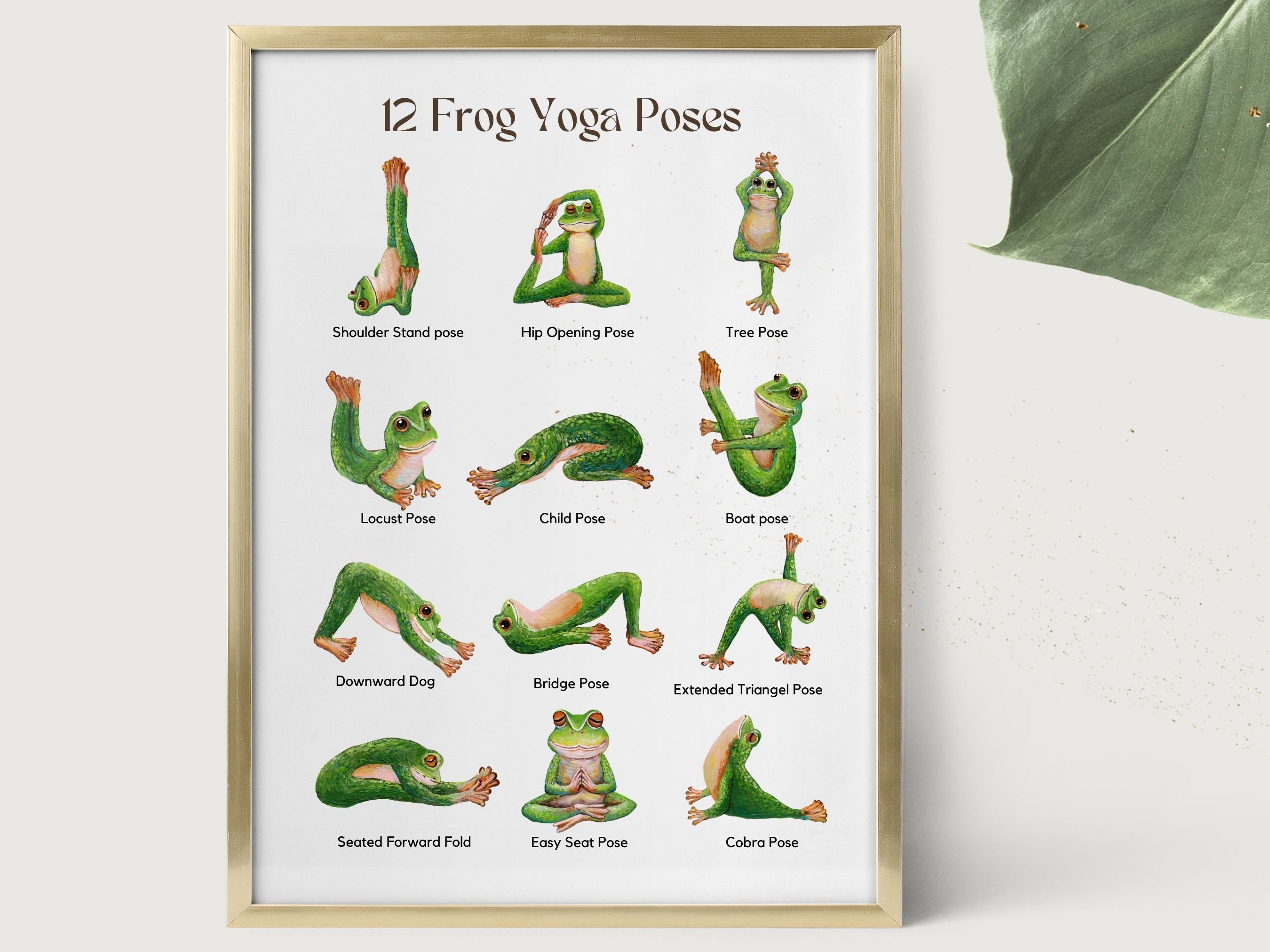 Yoga Frog -  Canada
