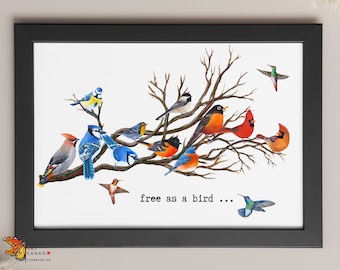 May include: A watercolour painting of a branch with many colourful birds perched on it. The birds include blue jays, cardinals, hummingbirds, and a chickadee. The text "free as a bird..." is written below the branch.