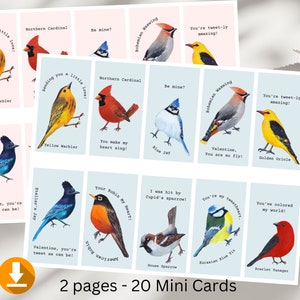 Carte numérique 20 mini-oiseau pour la Saint-Valentin, carte pour salle de classe, carte pour enfant, fête de la Saint-Valentin, carte de Saint-Valentin pour enfant, Saint-Valentin d'école, oiseau