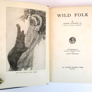 Wild Folk by Samuel Scoville Jr. - Etsy