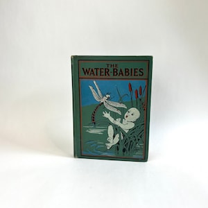 The Water Babies : A Fairy Tale for a Land-Baby by Charles Kingsley