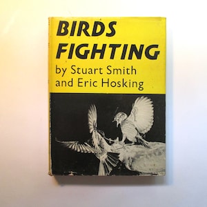 Birds Fighting by Stuart Smith and Eric Hosking