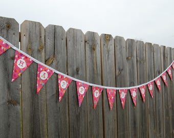 Happy Birthday fabric banner Party celebration Girl's bunting