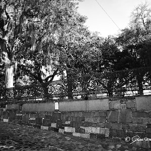 River Street Iron Fence Savannah GA