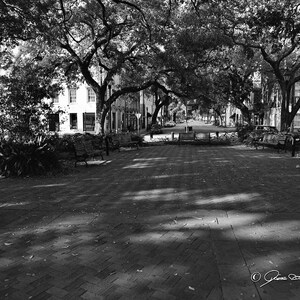 Franklin Square Savannah GA