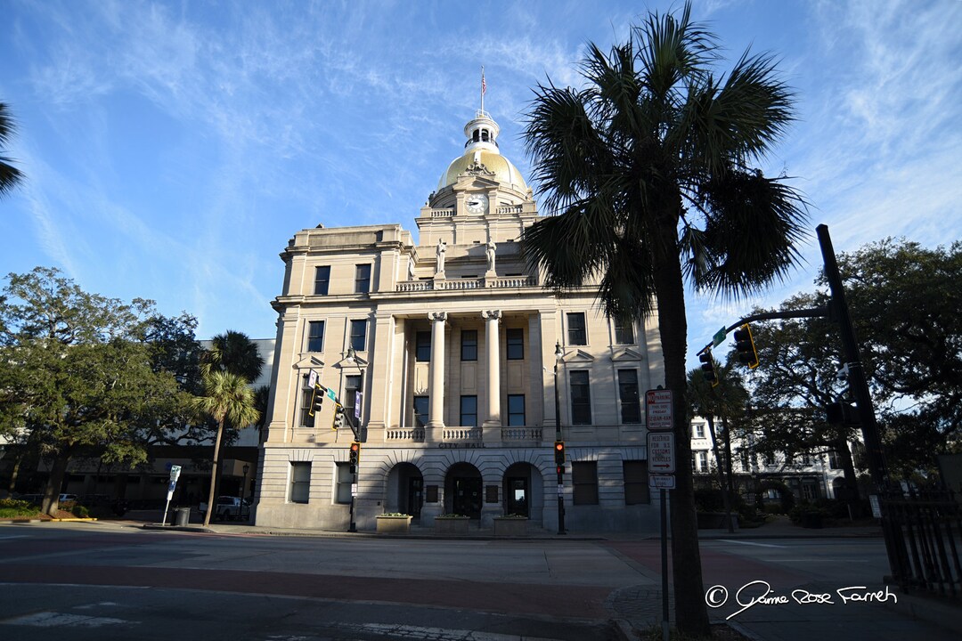 Savannah GA City Hall Etsy