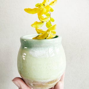 May include: A small, handmade ceramic vase with a light green and white glaze. The vase holds a sprig of bright yellow leaves. The vase is held in a hand, showcasing its size and shape.