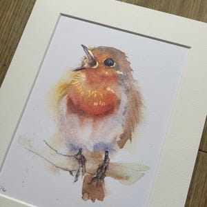 Rotkehlchen Aquarelldruck - Rotkehlchen - Aquarelldruck, Druck in limitierter Auflage für ein Landhaus - eine besondere Geschenkidee