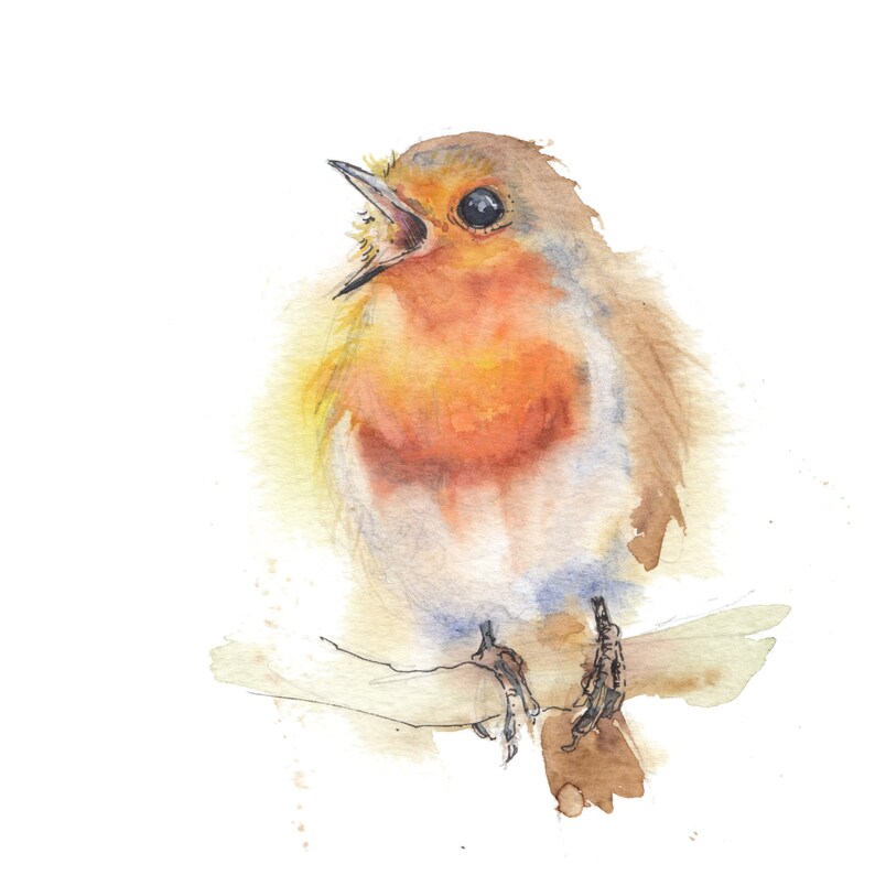 May include: Watercolour painting of a robin perched on a branch, singing with its beak open. The bird has a bright orange breast and a brown back. The painting is done in a soft, realistic style.