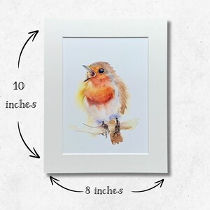 May include: A watercolour painting of a robin perched on a branch, singing with its beak open. The bird is painted in shades of orange, brown, and white against a white background. The painting is framed in a white mount and frame, measuring 8 inches by 10 inches.