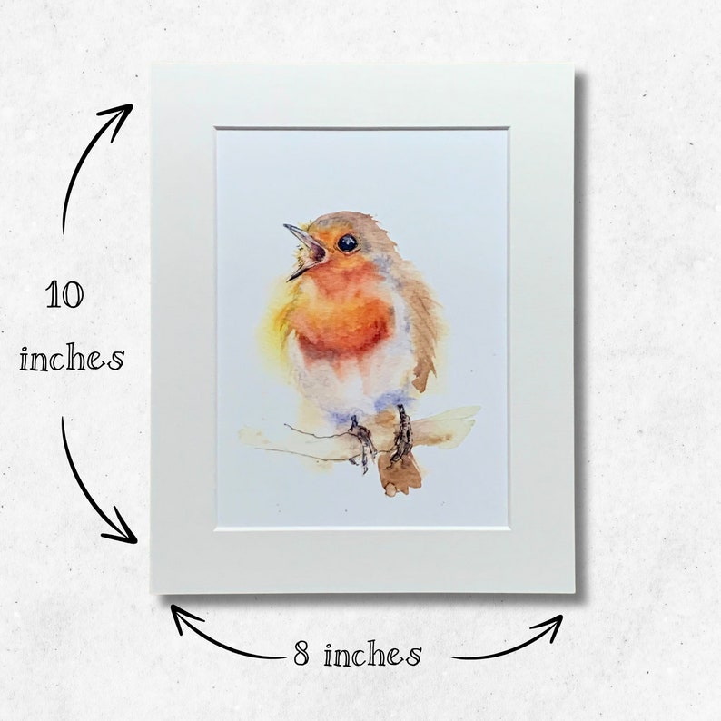 May include: A watercolour painting of a robin perched on a branch, singing with its beak open. The bird is painted in shades of orange, brown, and white against a white background. The painting is framed in a white mount and frame, measuring 8 inches by 10 inches.