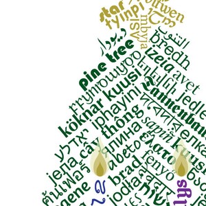 Puede incluir: Una nube de palabras con la palabra "pino" en el centro, rodeada de palabras en diferentes idiomas que significan "pino". Las palabras están en verde y dorado, y el fondo es blanco.