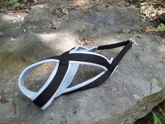 dog sledding bikjoring skijoring canicross scootering harness urban mushing