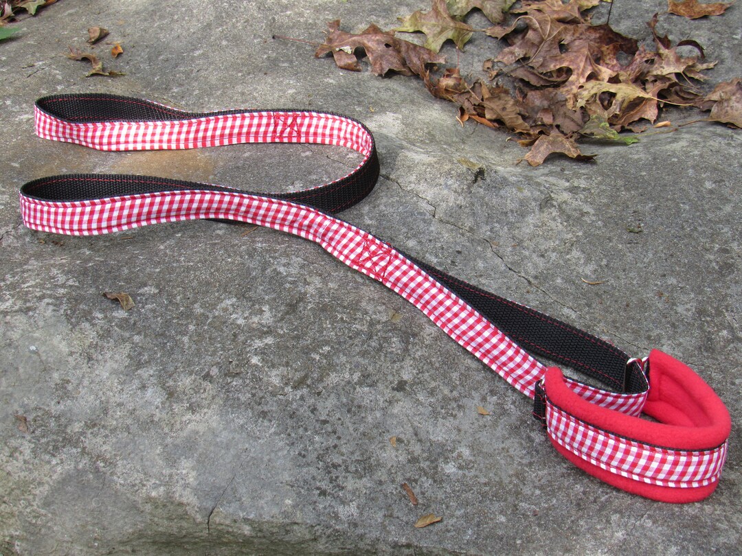 Martingale Leash Slip Leash Barn Hunt Agility Fast Cat Lore Coarse Dog