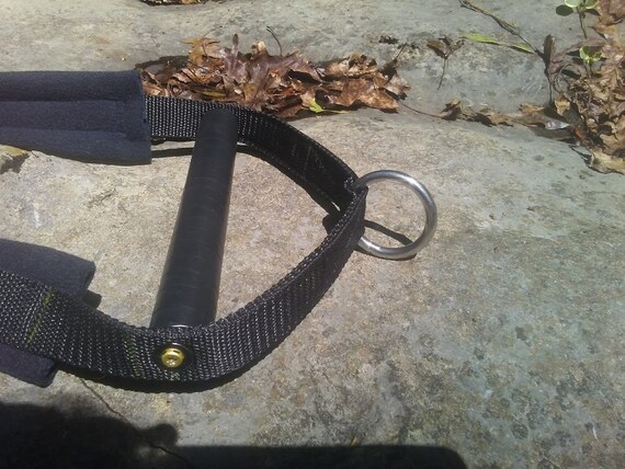 Chihuahua clearance weight pull