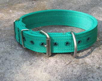1 1/2" wide 4 ply nylon buckle Dog Collar American Bully Pit Bull Bulldog GREEN VARIOUS SIZES