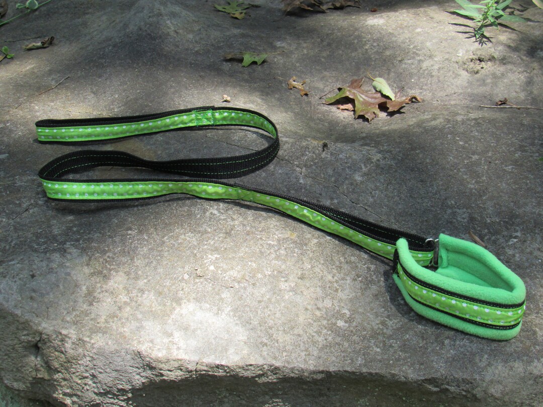 Martingale Leash Slip Leash Barn Hunt Agility Fast Cat Lore Coarse Dog