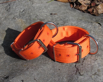 2" wide or 1 1/2" wide 4 ply Heavy Duty Nylon Buckle Dog Collar American Bully Pit Bull Bulldog ORANGE Various SIZES