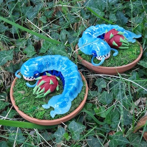 May include: Two blue and white ceramic centipedes with red and green fruit on top, sitting in small brown pots with green moss.