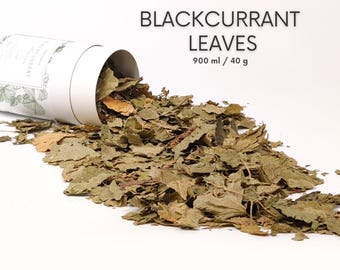 Blackcurrant Leaves for Guinea Pigs, Rabbits & Small Pets | 100% Natural Dried Forage | Aromatic Leaf Treat
