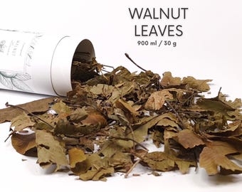 Walnut Leaves for Guinea Pigs, Rabbits & Small Pets | 100% Natural Dried Forage | Healthy Leaf Treat