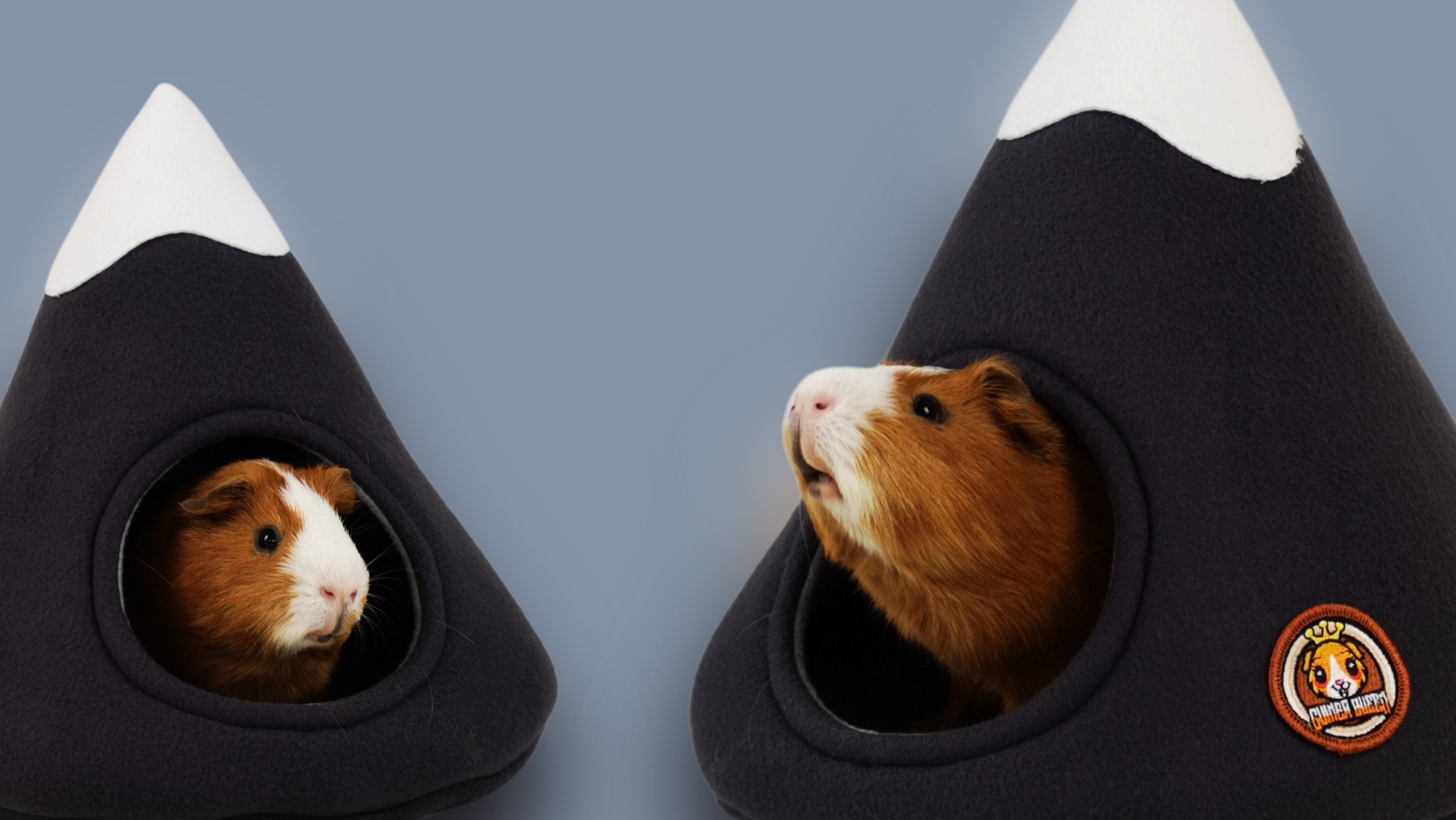 Guineaqueen Hidey Hut Guinea Pig Fleece Bed Hideout Foam Etsy