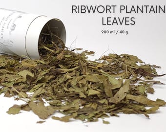 Ribwort Plantain for Guinea Pigs, Rabbits & Small Pets | 100% Natural Dried Forage | Meadow Herb Treat
