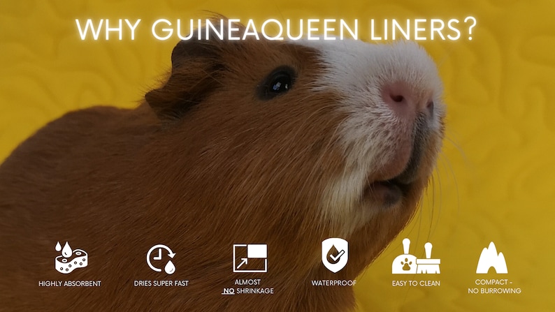 Liners for Guinea Pigs and Rabbits