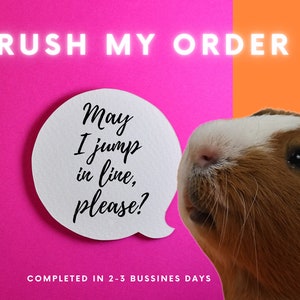 May include: A white speech bubble with the text "May I jump in line, please?" on a pink background. A brown and white guinea pig looks at the speech bubble with a curious expression. The text "RUSH MY ORDER" is at the top of the image. The text "COMPLETED IN 2-3 BUSINESS DAYS" is at the bottom of the image.