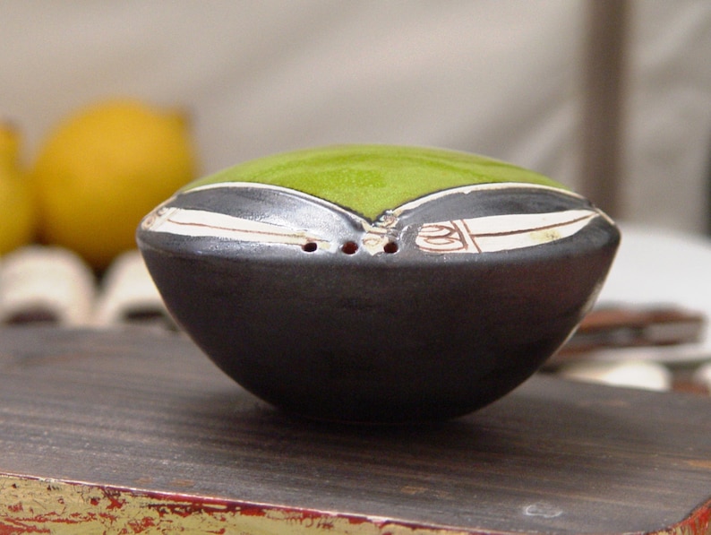 Danko Handmade and Hand Painted Pottery Accessories Unique Earthen Shaker Green Ceramic Salt Shaker Salt Box Pottery Pepper Shaker