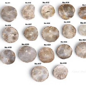 Botones antiguos de estilo vintage hechos de concha de caracola tallada a mano de Gilgit, en el valle de Swat, al norte de Pakistán.