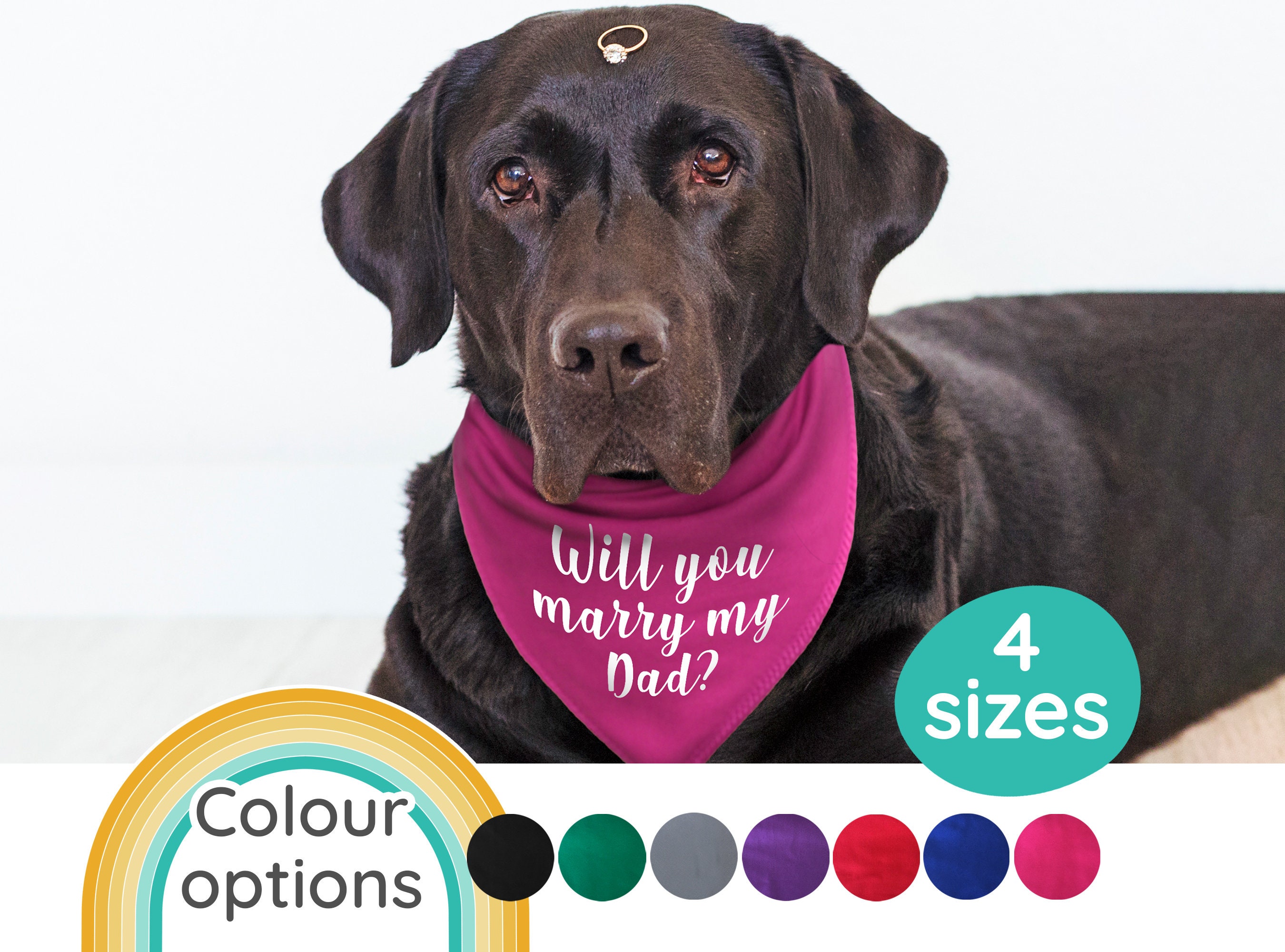 Etsy 2025 dog bandana