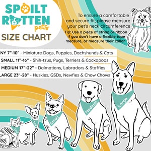 Spoilt Rotten Pets Bandana per cani di Halloween Nessun trucco, solo dolcetti 4 TAGLIE Costume da festa in maschera Fantasma spettrale Dolcetto dolcetto immagine 4