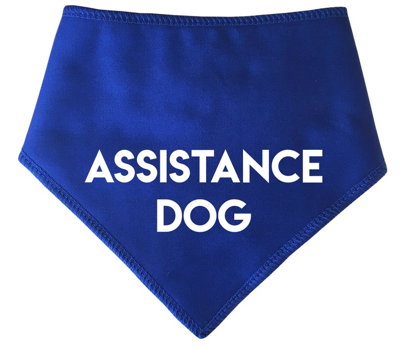 Spoilt Rotten Pets Any Wording Or Logo Custom Personalised Dog or Cat Bandana Four Sizes, Neckerchief, Scarf Blue