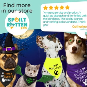 Spoilt Rotten Pets Bandana per cani di Halloween Nessun trucco, solo dolcetti 4 TAGLIE Costume da festa in maschera Fantasma spettrale Dolcetto dolcetto immagine 8