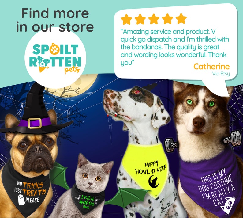 Spoilt Rotten Pets Bandana per cani di Halloween Nessun trucco, solo dolcetti 4 TAGLIE Costume da festa in maschera Fantasma spettrale Dolcetto dolcetto immagine 8