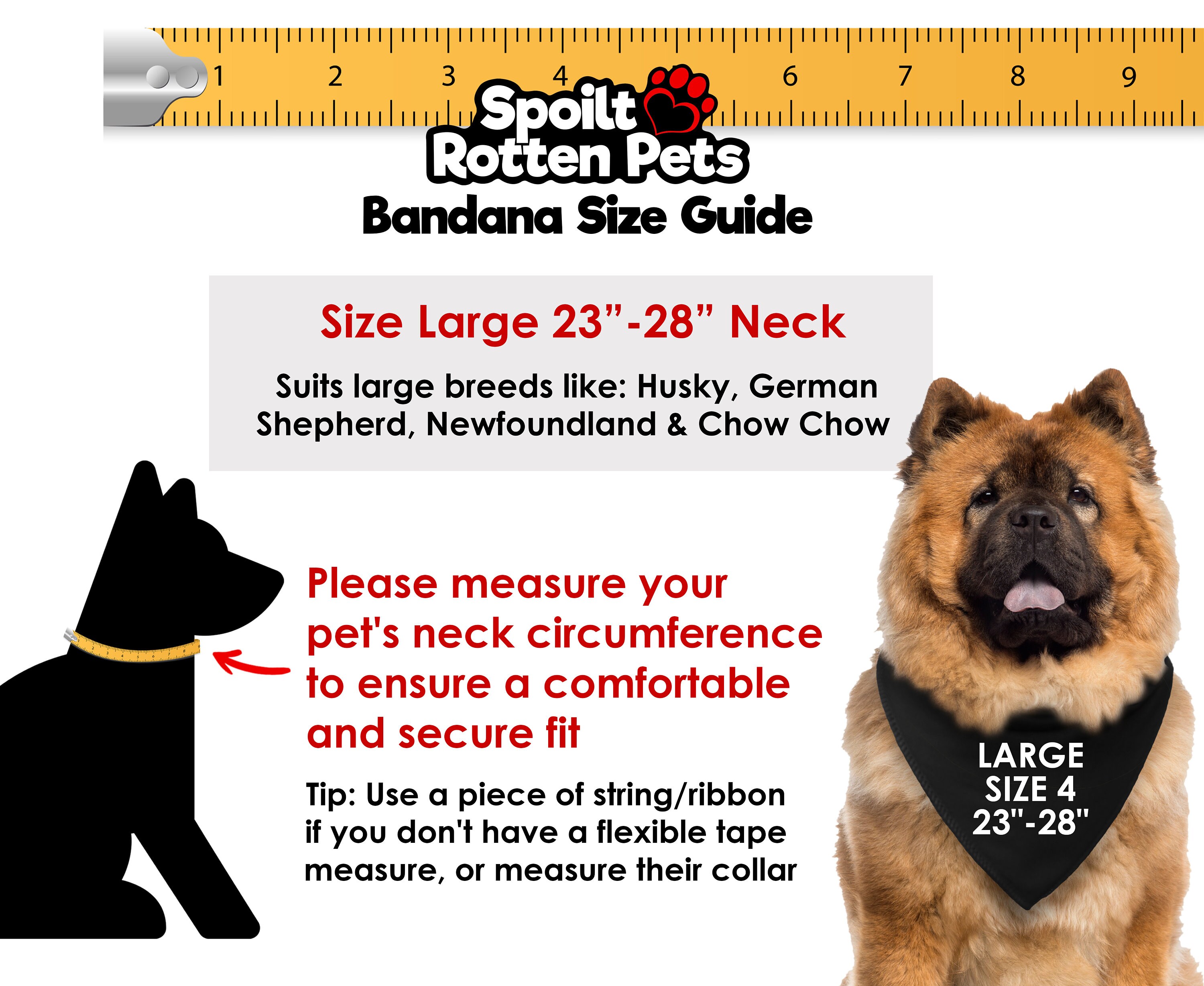 Spoilt Rotten Pets Halsband & Leine Set – Für Welpen/kleine Hunde, Sterndesign, Verstellbar 20–30 Cm