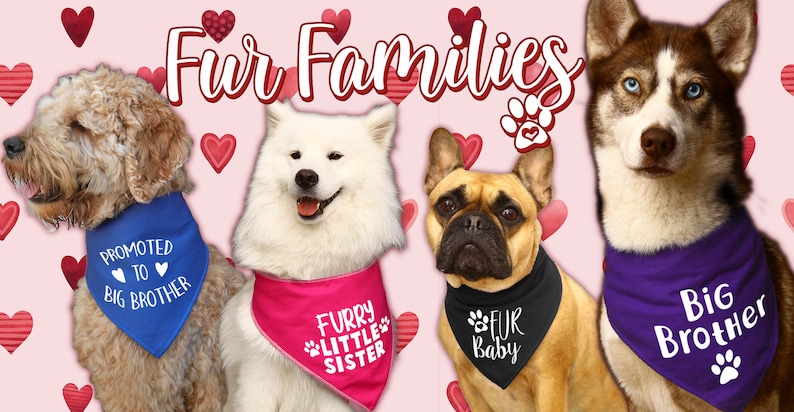 Scarf Baby Shower Spoilt Rotten Pets /'Guard Dog/' Personalised With Any Date 4 Sizes 6 Colours Gender Reveal Dog or Cat Bandana Four Sizes