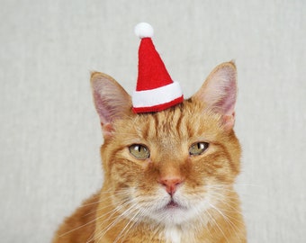 Weihnachtsmann Hut für Katzen