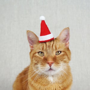 Santa Claus Hat For Cats