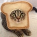 Susan reviewed Bread your Cat Costume for Cats