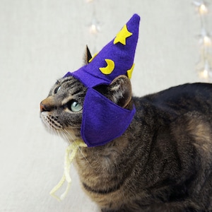 Wizard Hat for Cats- Glow in the dark!