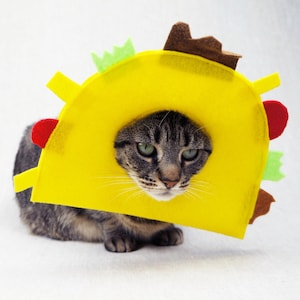 Taco Costume for Cats