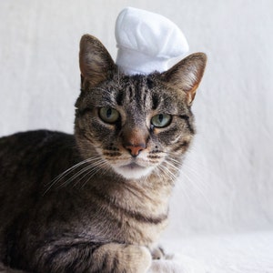 Chef Hat For Cats