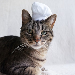 Chef Hat For Cats