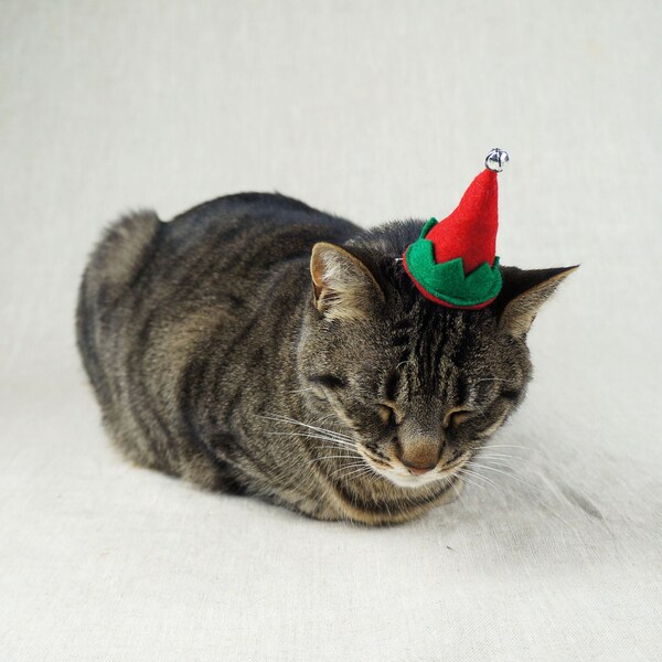 Elf Hat For Cats