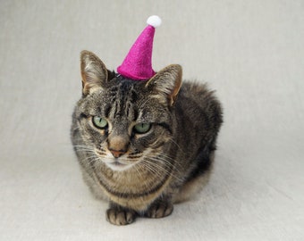 Mini Party Hat for Cats