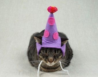Geburtstags-Party-Hut für Katzen - jede Farbe